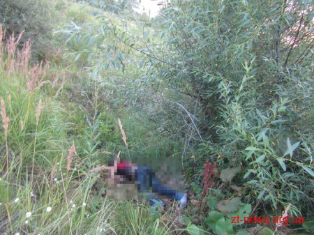 В полі поблизу села в Житомирській області знайшли тіло хлопця, якого вдарили пляшкою по голові