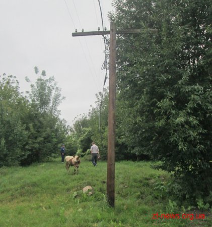 У Бердичеві невідомий демонтував 55 метрів мідного дроту