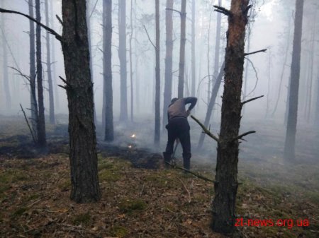На Житомирщині триває ліквідація лісової пожежі у Поліському природному заповіднику
