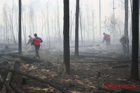 Площу пожежі в Поліському природному заповіднику вдалося зменшити до 5 гектарів