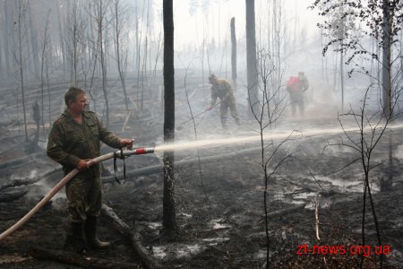 Пожежу на території Поліського природного заповідника ліквідовано