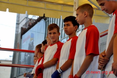 У Житомирі пройшла матчева зустріч з боксу між командами міст Житомира та Миколаєва