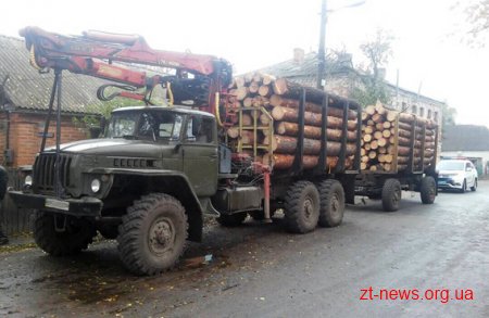 В Радомишлі поліцейські зупинили "Урал" в якому перевозили незаконну деревину