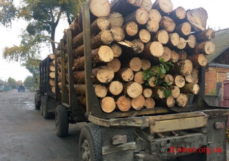 В Радомишлі поліцейські зупинили "Урал" в якому перевозили незаконну деревину