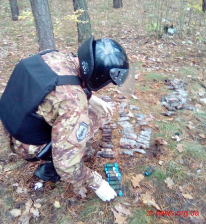 У Житомирському районі поліцейські знешкодили сховок з піротехнікою