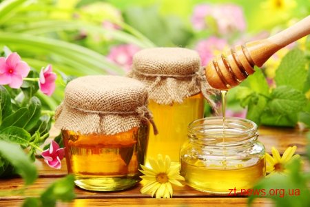 Житомирщина займає 1 місце в Україні з виробництва меду