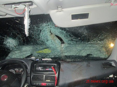 На автодорозі Хмільник-Бердичів зіткнулися два автомобілі: загинуло двоє людей