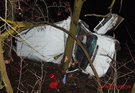 На Житомирщині мікроавтобус перекинувся на бік та зіткнувся з деревом: дві жінки загинули