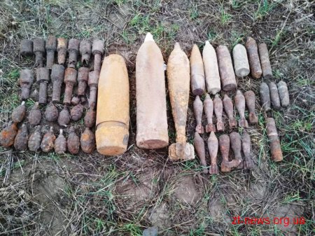 В Малинському районі вчора знайшли півсотні артснарядів