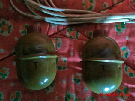 На Житомирщині чоловік в будинку зберігав дві гранати