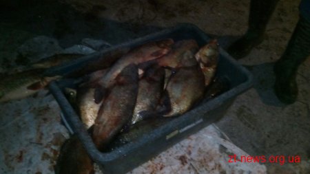 Житомирський рибоохоронний патруль затримав двох порушників з 81 кг риби
