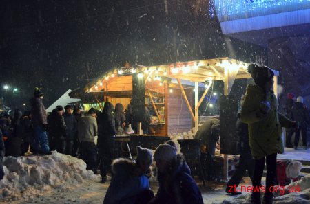 У Житомирі без урочистостей "запалили" новорічну ялинку