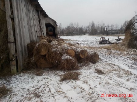 Білокоровицькі лісівники розшукали ще один «схрон» деревини в околицях села Кишин