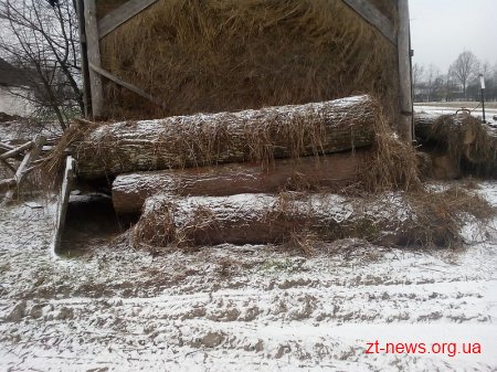 Білокоровицькі лісівники розшукали ще один «схрон» деревини в околицях села Кишин