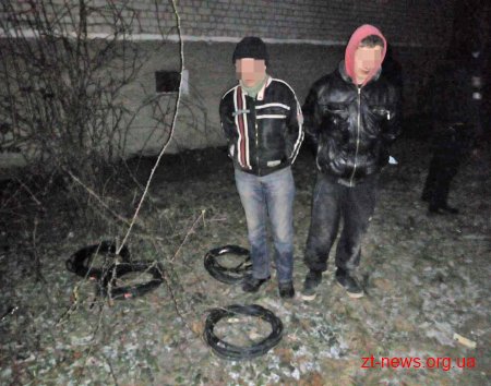 У Бердичеві  поліцейські охорони затримали крадіїв кабелю