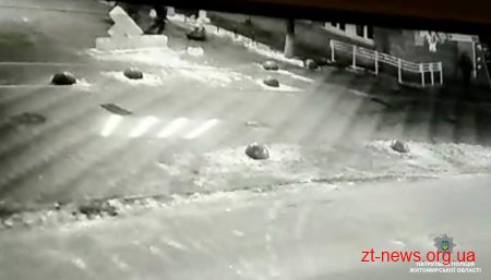 Патрульні затримали чоловіка, який пошкодив льодяну скульптуру в центрі Житомира