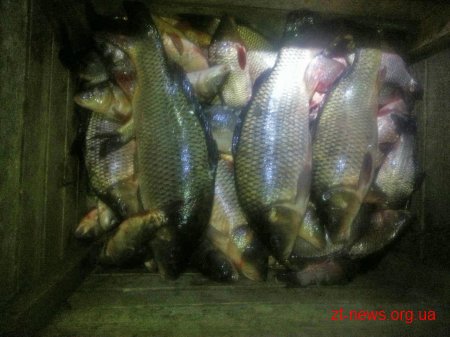 Поліція «зловила» киян на крадіжці риби зі ставу на Житомирщині
