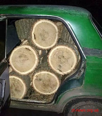 У Новоград-Волинському районі поліція затримала групу нелегальних лісорубів