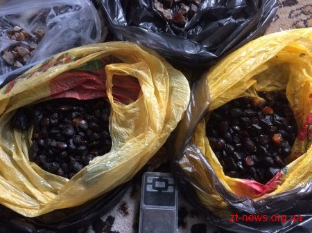 На Житомирщині СБУ вилучила понад чотири тонни бурштину-сирцю