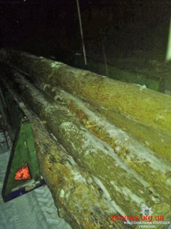 На Житомирщині поліція затримала двох жителів Коростеня, які незаконно зрізали 8 сосен