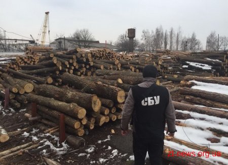 СБУ викрила механізм розкрадання деревини з держлісгоспу на Житомирщині