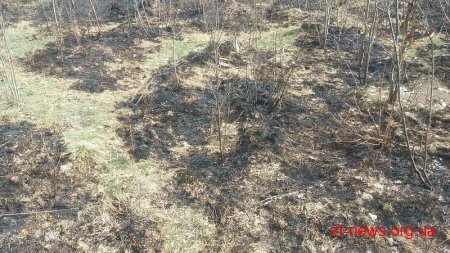 Цього тижня на Коростенщині зафіксували дві пожежі в лісових масивах