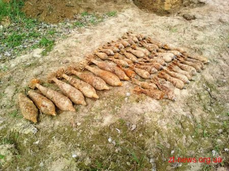 На Житомирщині мисливці за металом знайшли 44 мінометні міни