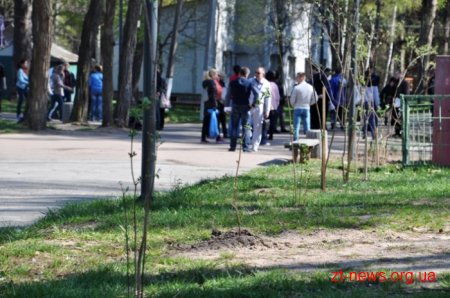 Працівники ОДА висадили алею з ялинок та бузку у Гідропарку