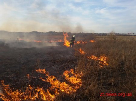Рятувальники закликають жителів Житомирщини не підпалювати траву та не розводити багаття