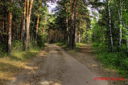 60 відсотків лісів Житомирщини були вражені радіацією