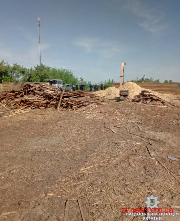 Поліцейські Житомирщини у ході розслідування незаконних вирубок лісу провели півтора десятка обшуків