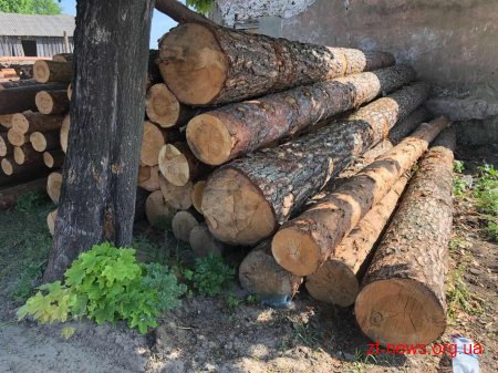 Поліцейські Житомирщини у ході розслідування незаконних вирубок лісу провели півтора десятка обшуків
