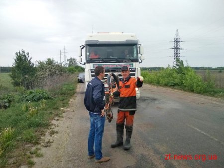 У Житомирській області розпочали робити ямковий ремонт за новим методом