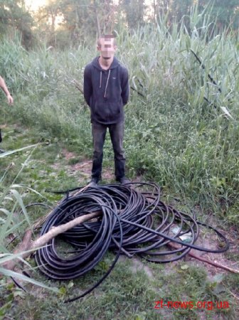 У Бердичеві поліцейські охорони затримали парубка під час крадіжки телефонного кабелю