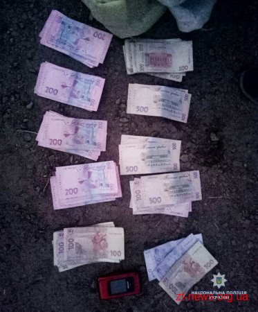На Житомирщині поліцейські затримали організовану групу наркозбутчиків
