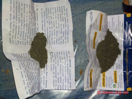 На Звягельщині поліцейські вилучили з приватного будинку наркотики