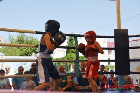 У Житомирі пройшла матчева зустріч з боксу між командами обласного центру та Броварів