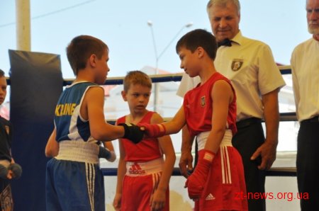 У Житомирі пройшла матчева зустріч з боксу між командами обласного центру та Броварів