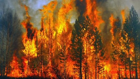 У лісах області продовжує триматися найвищий клас пожежної небезпеки