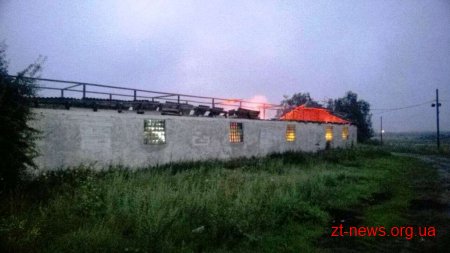 На Житомирщині горіла будівля підприємства по виготовленню деревного вугілля