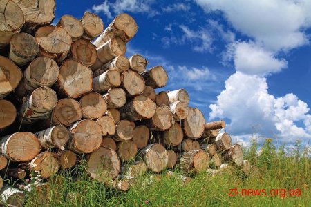 Закон щодо вивезення дров став би критичним для Житомирщини