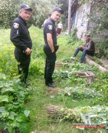 Майже тисячу рослин маку вилучили поліцейські на ділянках жителів Овруцького району за добу