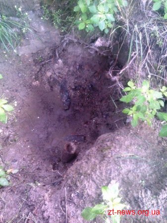 В лісосмузі поблизу с. Малинівка грибники виявили 45 боєприпасів