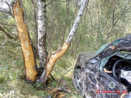 На Коростенщині автомобіль зіткнувся з деревом