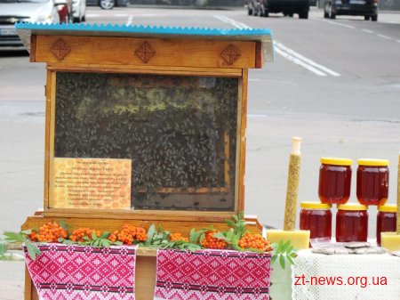 У Житомирі розпочався обласний ярмарок меду
