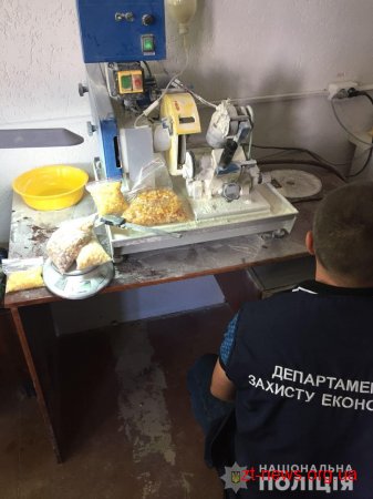 У Житомирі правоохоронці припинили роботу нелегального цеху з обробки бурштину