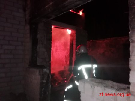 На Житомирщині під час пожежі в житловому будинку загинула жінка, її сина травмовано