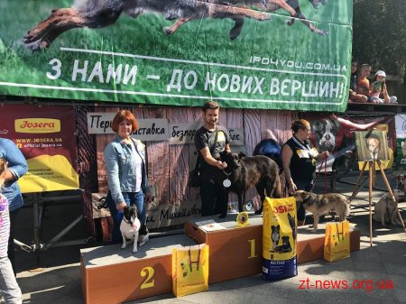 На Михайлівській 16 чотирилапих узяли участь у першій виставці безпородних собак «Мокрий ніс»