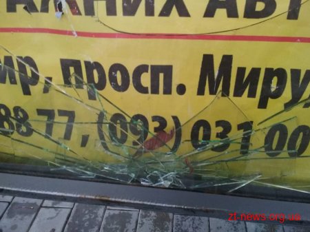 У Житомирі патрульні затримали п'яного хулігана, який кидався на перехожих та розбив рекламний щит