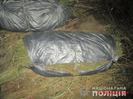 На Житомирщині поліцейські викрили сховок з майже півтонною сухих конопель